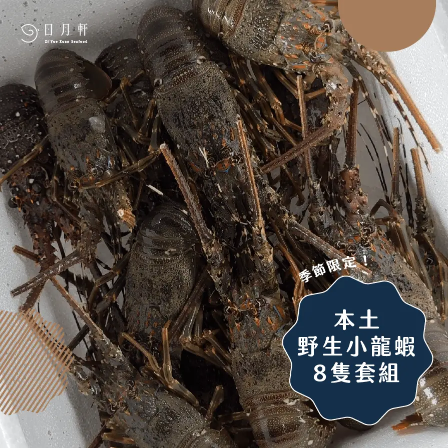 台灣野生小龍蝦8隻套組