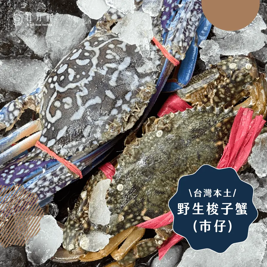 【日月軒海鮮】梭子蟹(市仔)