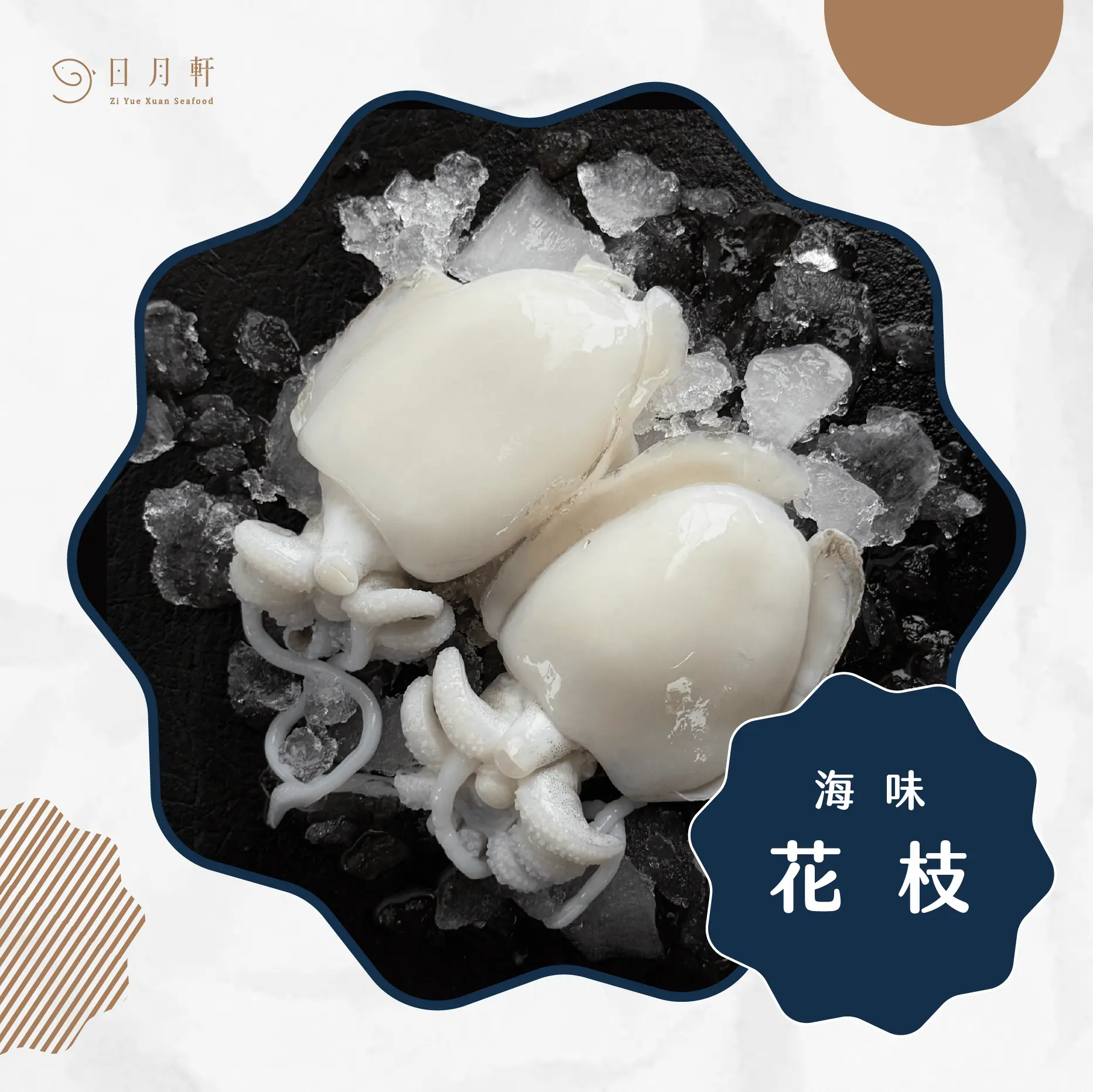 【日月軒海鮮】嚴選花枝