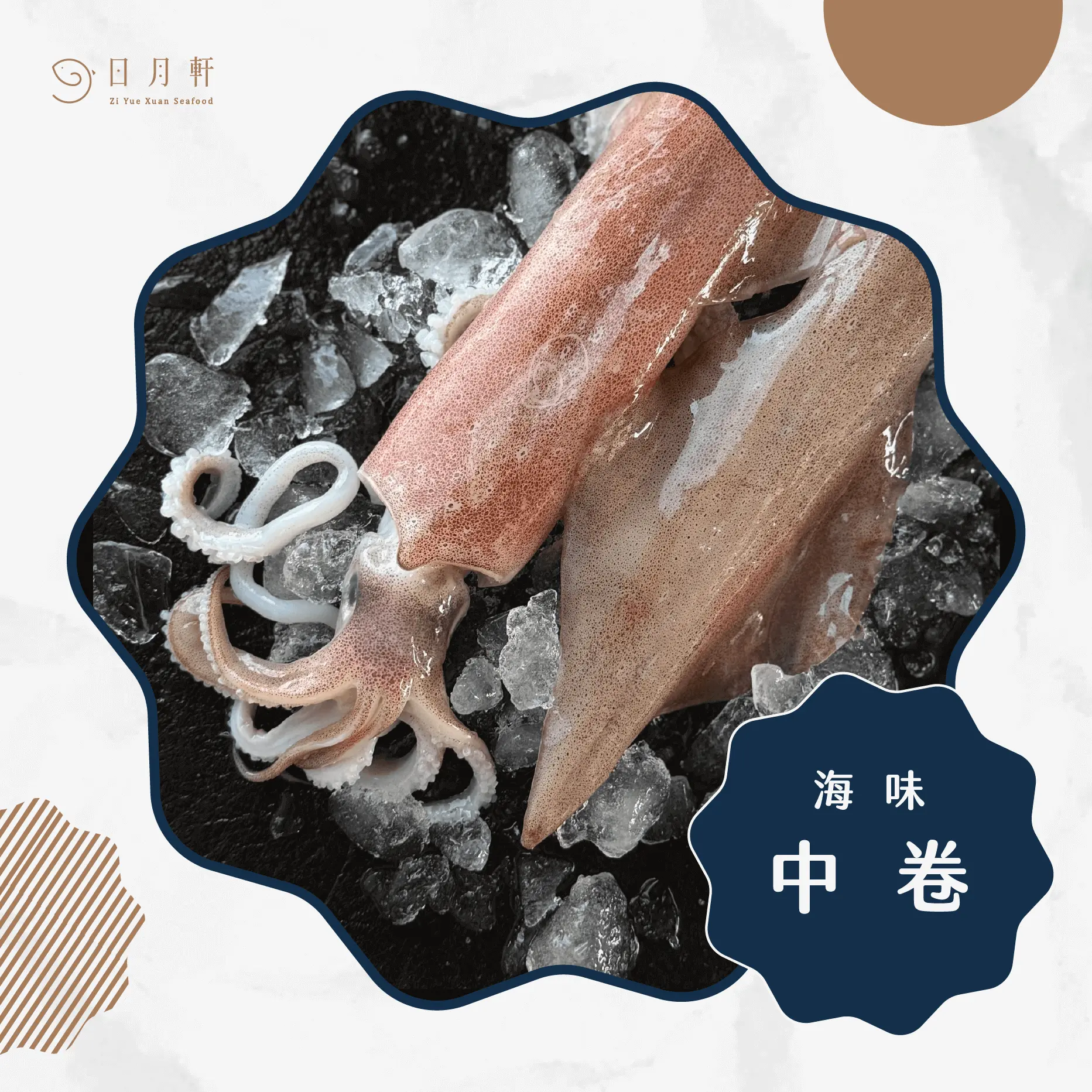 【日月軒海鮮】嚴選中卷