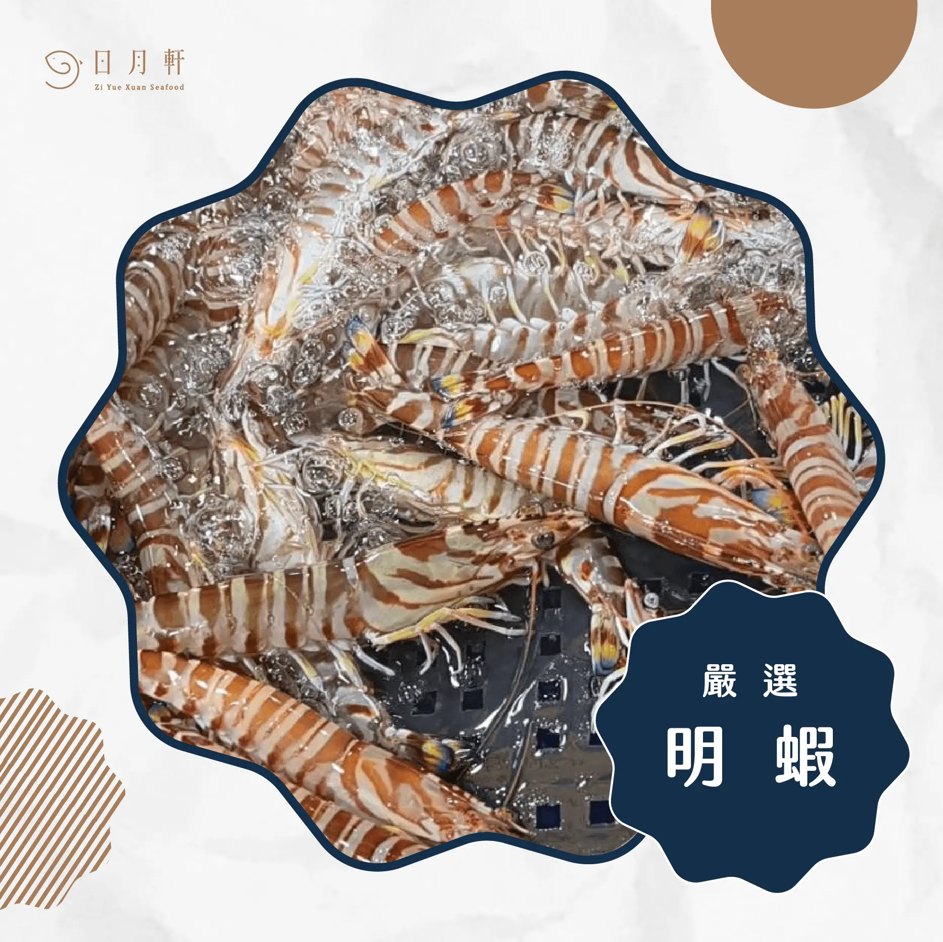 【日月軒海鮮】嚴選野生明蝦